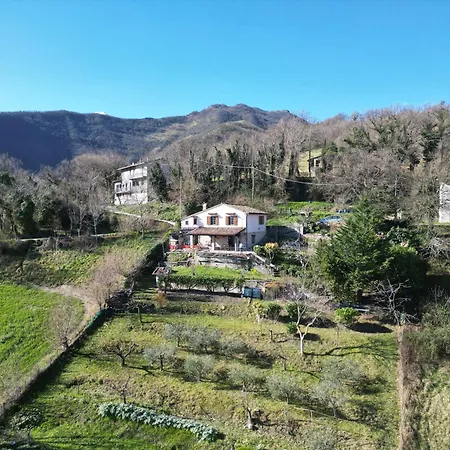 Holiday home - Il Rampichino *