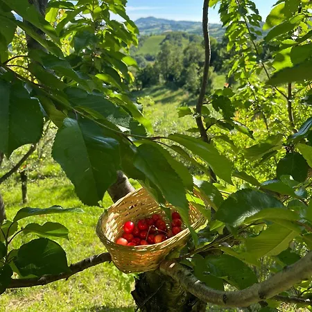 - Il Rampichino Casa vacanze *
