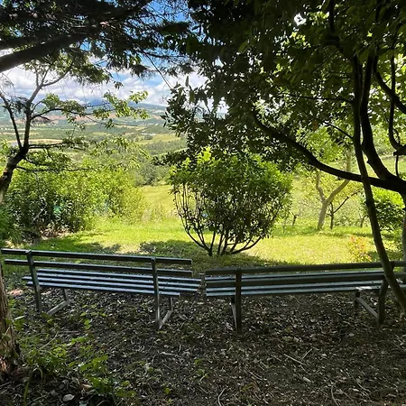 - Il Rampichino * Cagli